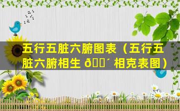五行五脏六腑图表（五行五脏六腑相生 🐴 相克表图）